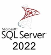 SQL Server Standard 2022 - 2 Core License Pack - 3 year