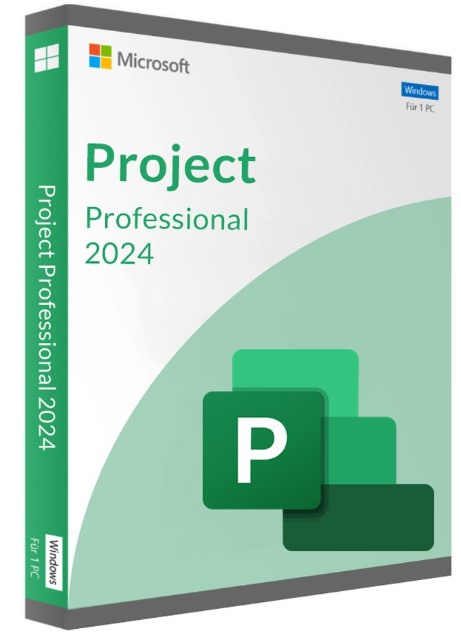 Project Professional 2024