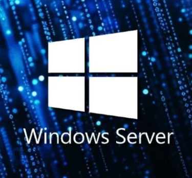 Microsoft Windows Server 2025 OEM